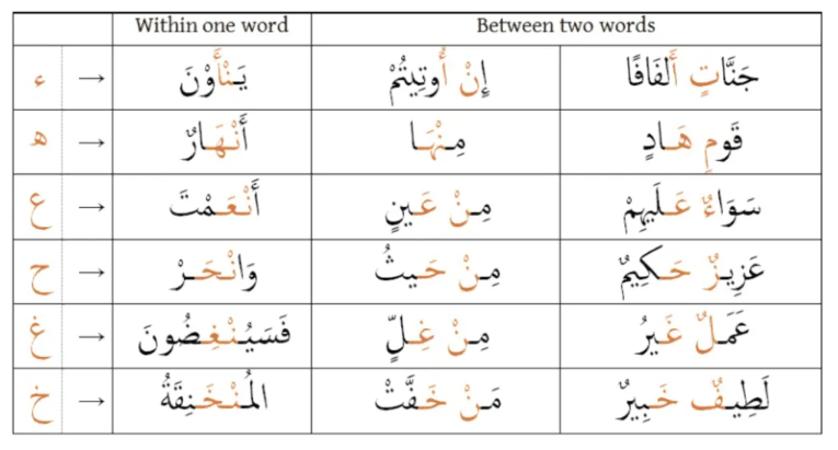 Tajweed Quran Rules - Guide for Beginners and Experts